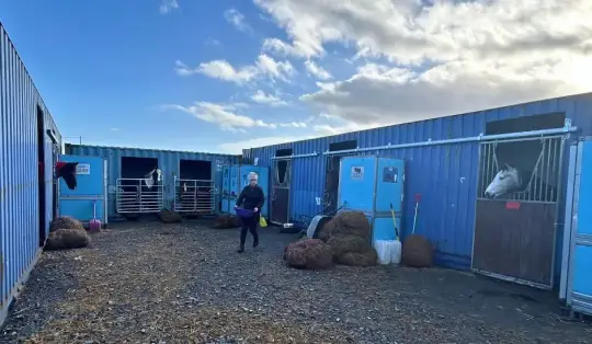 Ballyrusley Stables